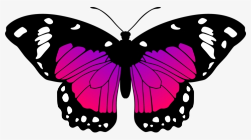 Pink And Purple Butterfly Pictures Pink And Purple - Pink And Purple Butterfly, HD Png Download, Transparent PNG