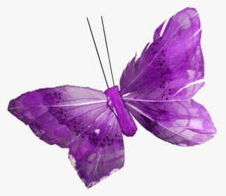 Purple Butterfly Png - Фиолетовые Пнг, Transparent Png, Transparent PNG