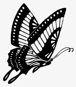 Drawing Spring Purple Butterfly - Butterfly Black And White Png, Transparent Png, Transparent PNG