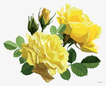 #mq #yellow #roses #rose #flower - Yellow Roses Png, Transparent Png, Transparent PNG