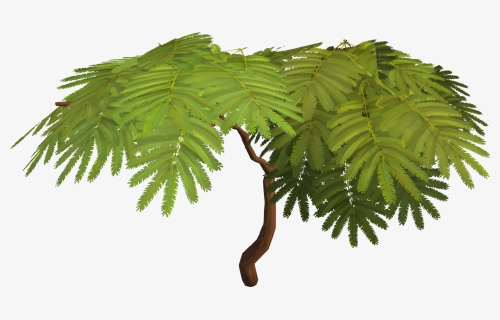 Green Tree Jungle Hd Image Free Png Clipart - Jungle Tree Png Free