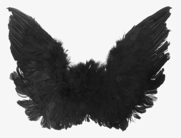 Trend Black Angel Wings Png High Quality Image Vector, - Black Angel Wings Png, Transparent Png, Transparent PNG