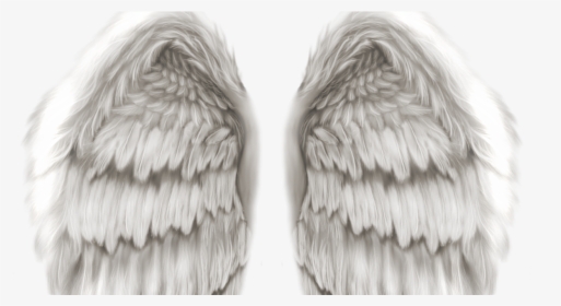 Transparent Angel Wings - Realistic Angel Wings Png, Png Download, Transparent PNG