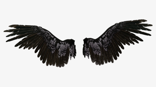 Transparent Angel Wings - Black Angel Wings Transparent, HD Png Download, Transparent PNG