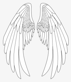 Elegant Drawing Angel Transparent - Anime Angel Wings Drawing, HD Png Download, Transparent PNG