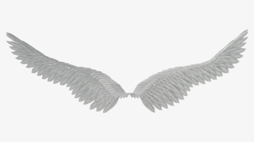 Transparent Angel Wings Png Tumblr - Aile Fond Transparent, Png Download, Transparent PNG