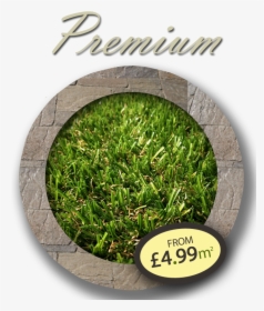 Premium Artificial Grass - Lawn, HD Png Download, Transparent PNG