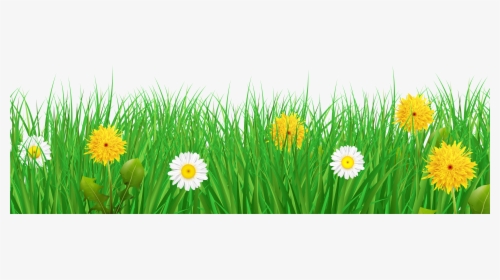 Transparent Grass Border Clipart - Background Grass Flowers Png, Png Download, Transparent PNG