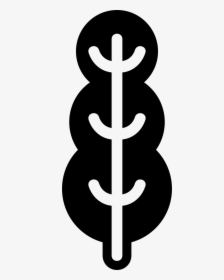 Tall Tree Rounded Shape Of Three Areas - Cross, HD Png Download, Transparent PNG