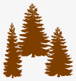 Pine Fir Tree Evergreen Clip Art - Clipart Black Pine Tree, HD Png Download, Transparent PNG