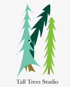 Tall Trees Studio - Christmas Tree, HD Png Download, Transparent PNG