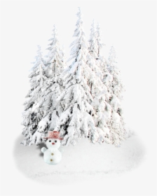 Christmas Decoration Holiday Snowman New Year Tree - Christmas, HD Png Download, Transparent PNG