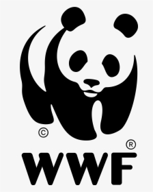 Wwf Logo - World Wide Fund For Nature, HD Png Download, Transparent PNG