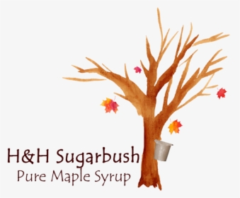 Hh Sugarbush Color Logo, HD Png Download, Transparent PNG