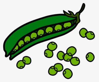 Green Beans Food Clipart - Beans Clipart, HD Png Download, Transparent PNG