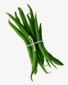 001 Mambo Product Images Green Beans Tilted Web Copy - Orris Root, HD Png Download, Transparent PNG