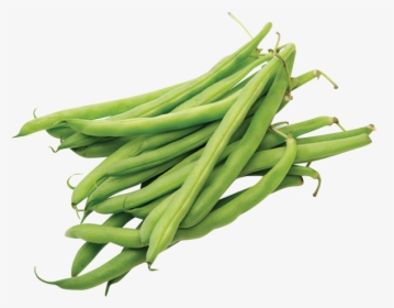 Green Beans, 1 Lb      Data Rimg Lazy   Data Rimg Scale - Haricots Png, Transparent Png, Transparent PNG