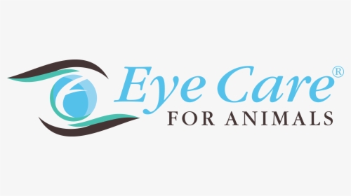 Transparent Google Eyes Png - Eye Care For Animals, Png Download, Transparent PNG