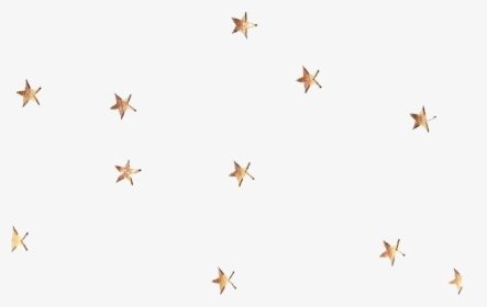Transparent Falling Stars Clipart - Gold Star Sticker Png, Png Download, Transparent PNG