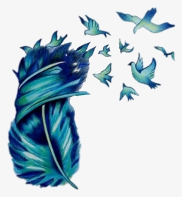 Transparent Feather Drawing Png - Birds And Feathers Art, Png Download, Transparent PNG