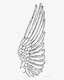 Feather Clipart Animal Feather Animal Transparent Free - Angel Wings Side View Drawing, HD Png Download, Transparent PNG