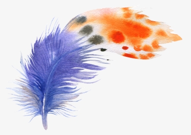 Bird Feather Drawing - Feather Plumes Png Transparent, Png Download, Transparent PNG