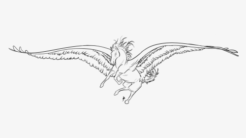 Png Library Download Albatross Drawing Feather - Sketch, Transparent Png, Transparent PNG