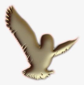 Logo Burung Hantu Emas, HD Png Download, Transparent PNG