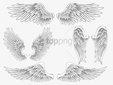 Free Png Download Angel Wing Bird Feather Png Images - Realistic Angel Wings Drawing, Transparent Png, Transparent PNG