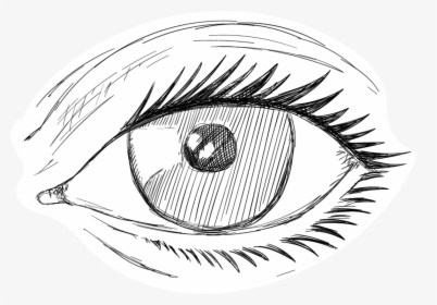 Clip Art Iris Eyes Transprent Png - Desenhos Para Desenhar De Olhos, Transparent Png, Transparent PNG