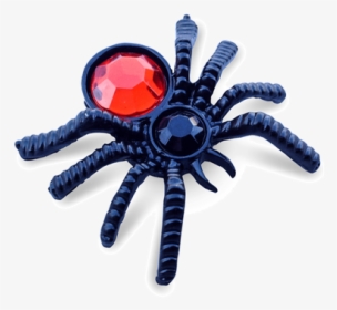 This Alt Value Should Not Be Empty If You Assign Primary - Tarantula, HD Png Download, Transparent PNG