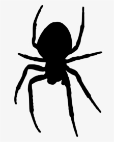 Silhouette,widow Spider,artwork - Creepy Spider Clip Art, HD Png Download, Transparent PNG