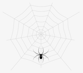 Free Png Web And Spider Png Images Transparent - Spider Web, Png Download, Transparent PNG
