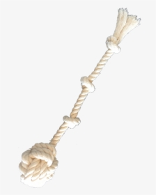 Necklace, HD Png Download, Transparent PNG