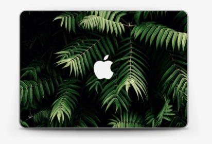Tropics Skin Macbook Pro Retina 13” - Vinilo De Plantas Png, Transparent Png, Transparent PNG