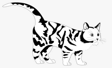Tiger Cat Black White Line Art Coloring Sheet Colouring - Black And White Cat Coloring Pages, HD Png Download, Transparent PNG