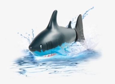 Radio Control , Png Download - Great White Shark, Transparent Png, Transparent PNG
