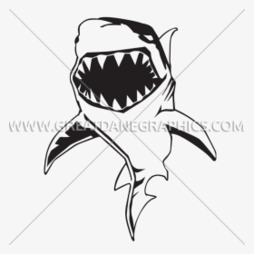 Transparent Bite Clipart - Draw A Shark Bike, HD Png Download, Transparent PNG