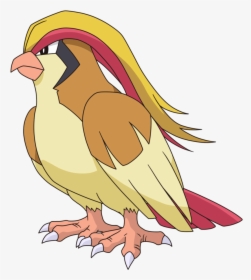 Pidgeot Is A Huge Bird, You An Fly On Her - Pidgeot Png, Transparent Png, Transparent PNG
