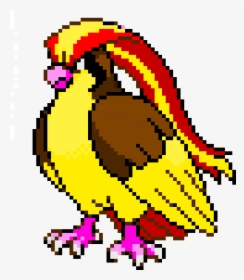 Free: Pidgeotto Pokémon X and Y Pokédex - Pidgeot png download - 600*473   