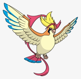Official Global Link Art Of All The New Megas And Primals - Pokemon Mega Pidgeot, HD Png Download, Transparent PNG