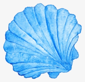Seashell Watercolor Png, Transparent Png, Transparent PNG