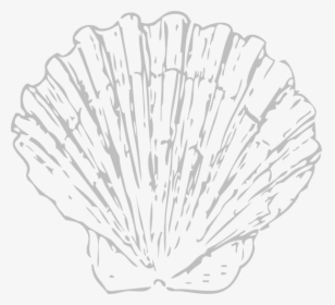 Seashell Clipart Blue, HD Png Download, Transparent PNG