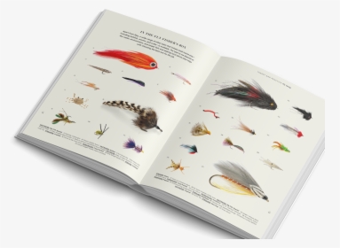 The Fly Fisher Gestalten Book Flyfishing   Class - Madagascar Hissing Cockroach, HD Png Download, Transparent PNG