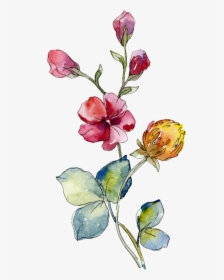 Rose Cliparts Transparent Summer Flower - Watercolor Wild Flower Png, Png Download, Transparent PNG
