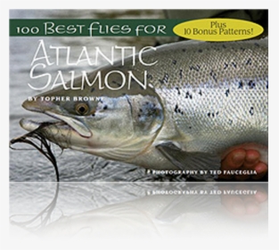 Best Flies For Atlantic Salmon Wild Ⓒ - Atlantic Salmon Male Sketch, HD Png Download, Transparent PNG