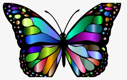 Butterfly Insect Chromatic Animal Colorful Flying 1769728 - Butterfly  Pictures Of Insects, HD Png Download , Transparent Png Image - PNGitem