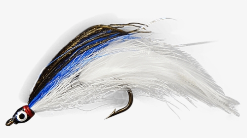 Fish, HD Png Download, Transparent PNG