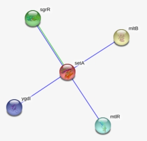 Seta Protein - Circle, HD Png Download, Transparent PNG