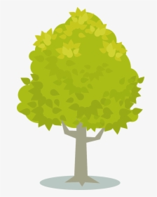 Plant,leaf,tree - ต้นไม้ สี เหลือง Png, Transparent Png, Transparent PNG